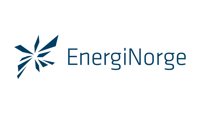 Energi Norge logo